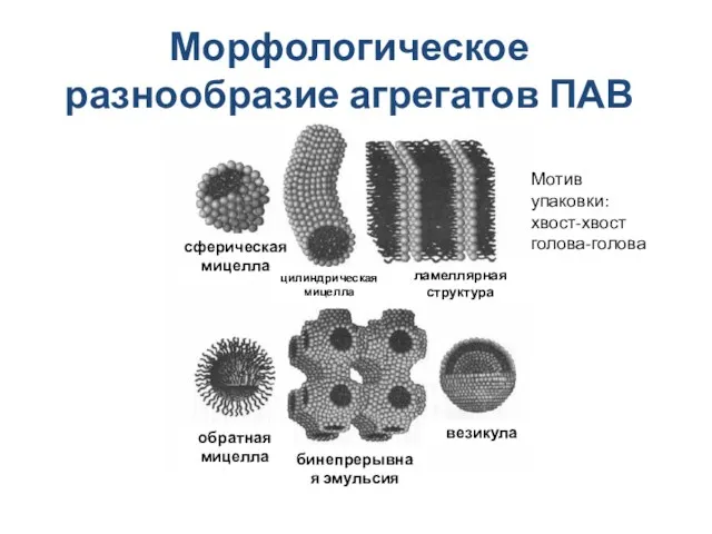 Морфологическое разнообразие агрегатов ПАВ сферическая мицелла цилиндрическая мицелла обратная мицелла