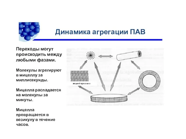 Динамика агрегации ПАВ Переходы могут происходить между любыми фазами. Молекулы