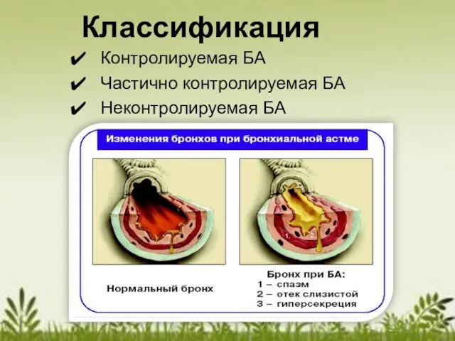 Классификация Контролируемая БА Частично контролируемая БА Неконтролируемая БА