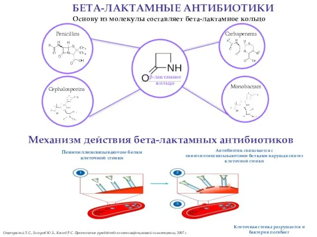 Страчунский Л.С., Белоусов Ю.Б., Козлов Р.С. Практическое руководство по антиинфекционной