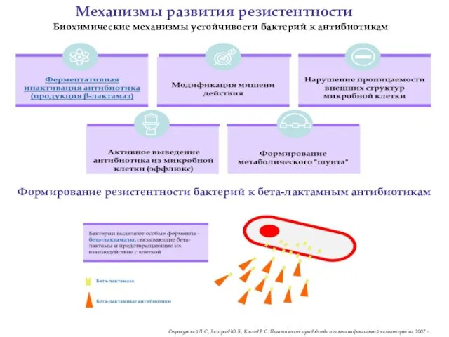 Биохимические механизмы устойчивости бактерий к антибиотикам Механизмы развития резистентности Страчунский