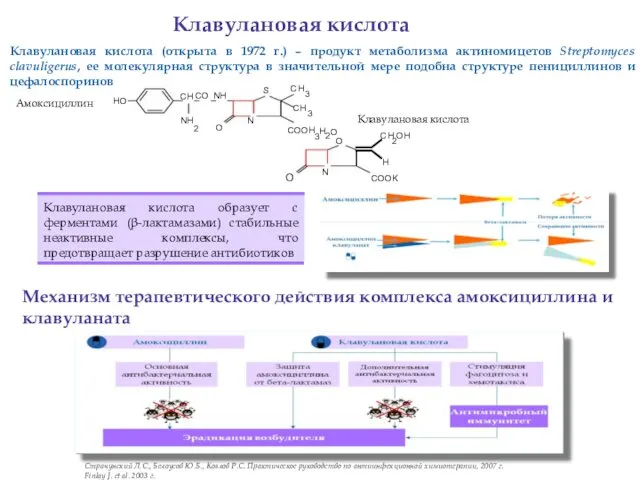 HO CH NH 2 CO NH O O N Амоксициллин