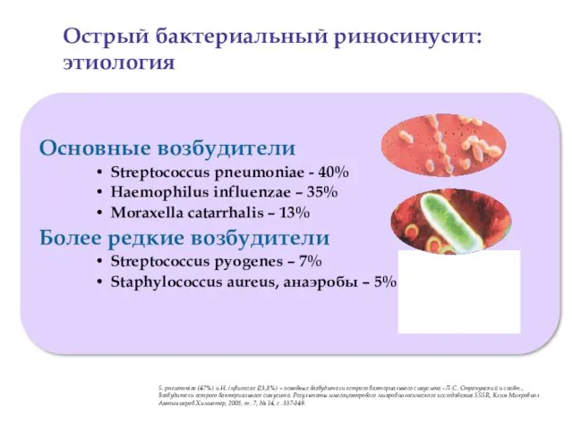 Основные возбудители Streptococcus pneumoniae - 40% Haemophilus influenzae – 35%