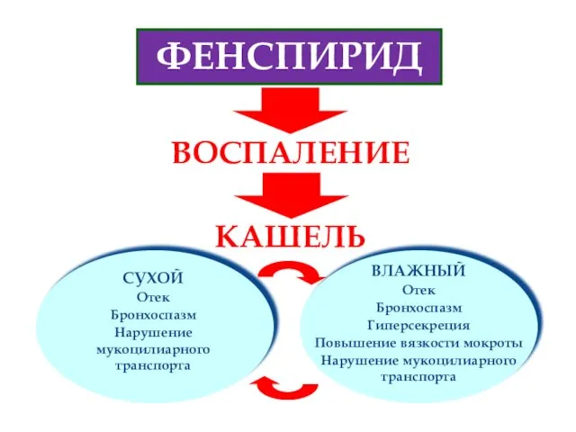 ФЕНСПИРИД ВОСПАЛЕНИЕ КАШЕЛЬ СУХОЙ Отек Бронхоспазм Нарушение мукоцилиарного транспорта ВЛАЖНЫЙ