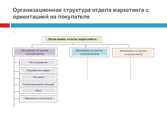 Организационная структура отдела маркетинга с ориентацией на покупателя