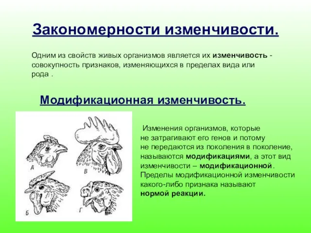 Закономерности изменчивости. Одним из свойств живых организмов является их изменчивость