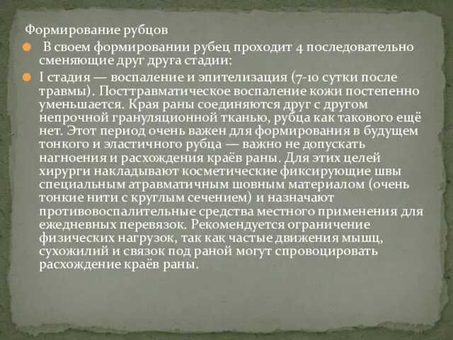 Формирование рубцов В своем формировании рубец проходит 4 последовательно сменяющие