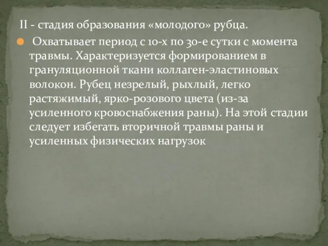 II - стадия образования «молодого» рубца. Охватывает период с 10-х