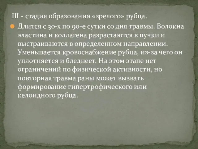 III - стадия образования «зрелого» рубца. Длится с 30-х по