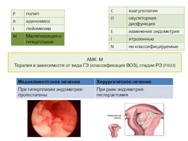 АМК- М Терапия в зависимости от вида ГЭ (классификация ВОЗ), стадии РЭ (FIGO)