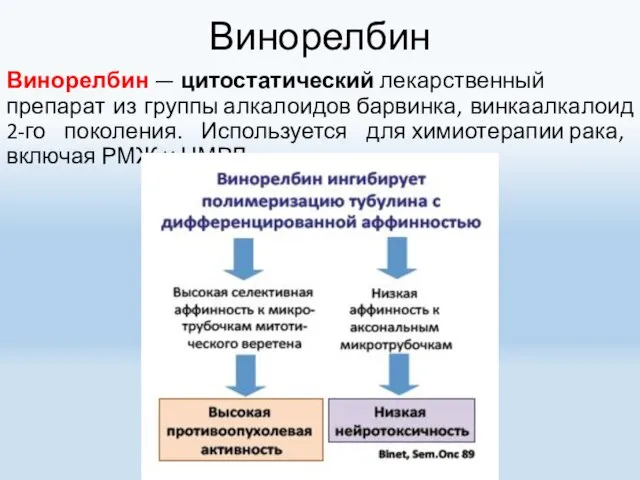 Винорелбин Винорелбин — цитостатический лекарственный препарат из группы алкалоидов барвинка,