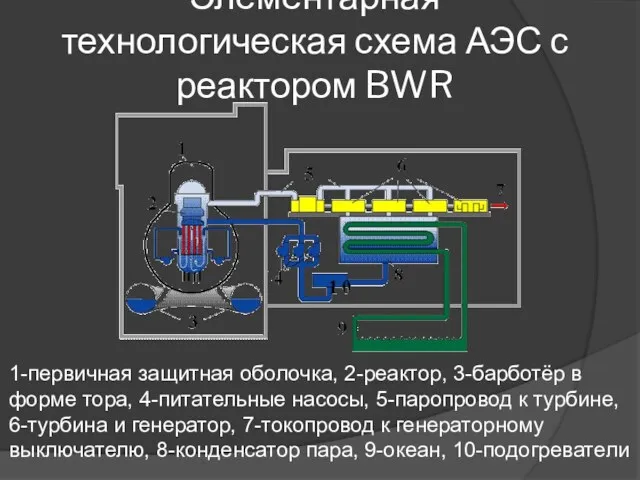 Элементарная технологическая схема АЭС с реактором BWR 1-первичная защитная оболочка,