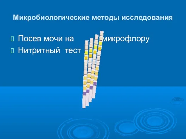 Микробиологические методы исследования Посев мочи на микрофлору Нитритный тест