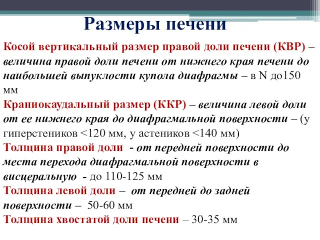 Размеры печени Косой вертикальный размер правой доли печени (КВР) –