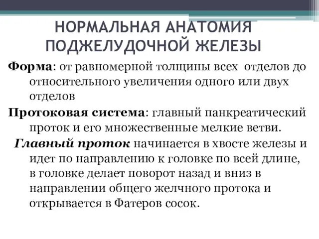 НОРМАЛЬНАЯ АНАТОМИЯ ПОДЖЕЛУДОЧНОЙ ЖЕЛЕЗЫ Форма: от равномерной толщины всех отделов