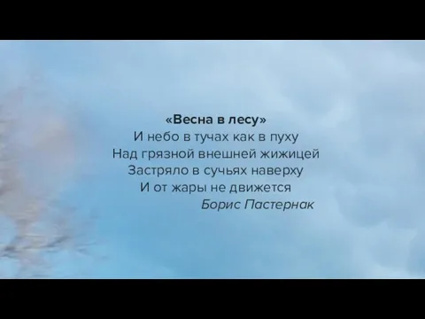 «Весна в лесу» И небо в тучах как в пуху