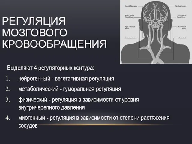 РЕГУЛЯЦИЯ МОЗГОВОГО КРОВООБРАЩЕНИЯ Выделяют 4 регуляторных контура: нейрогенный - вегетативная