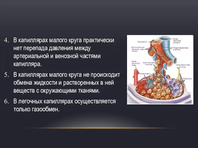 В капиллярах малого круга практически нет перепада давления между артериальной