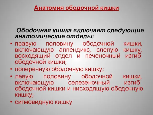 Анатомия ободочной кишки Ободочная кишка включает следующие анатомические отделы: правую