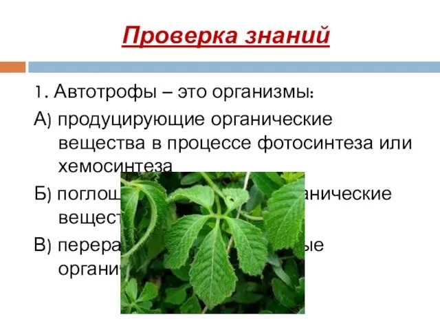 Проверка знаний 1. Автотрофы – это организмы: А) продуцирующие органические