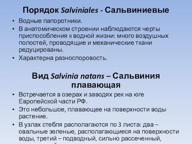 Порядок Salviniales - Сальвиниевые Водные папоротники. В анатомическом строении наблюдаются черты приспособления к