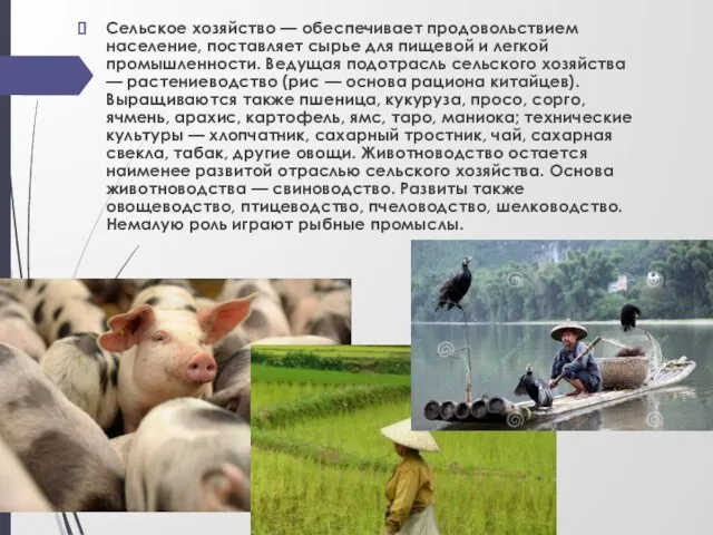 Сельское хозяйство — обеспечивает продовольствием население, поставляет сырье для пищевой и легкой промышленности.