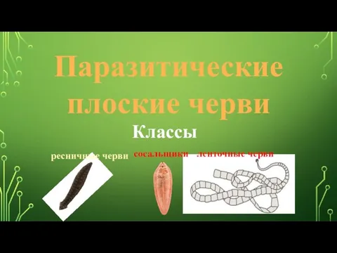 Паразитические плоские черви Классы ресничные черви сосальщики ленточные черви