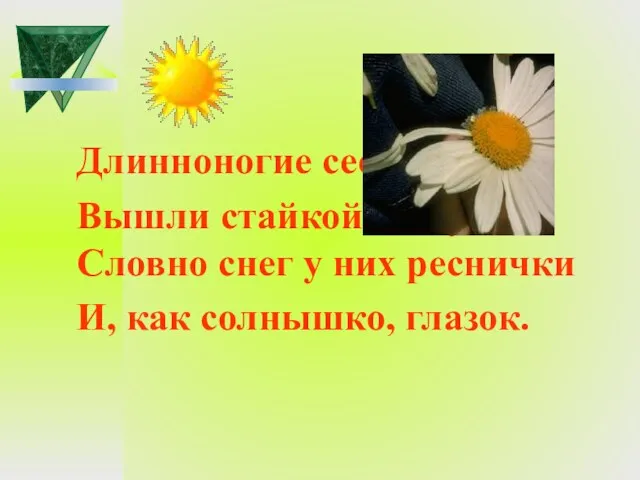 Длинноногие сестрички Вышли стайкой на лужок. Словно снег у них реснички И, как солнышко, глазок.