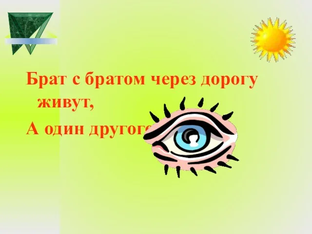 Брат с братом через дорогу живут, А один другого не видят.