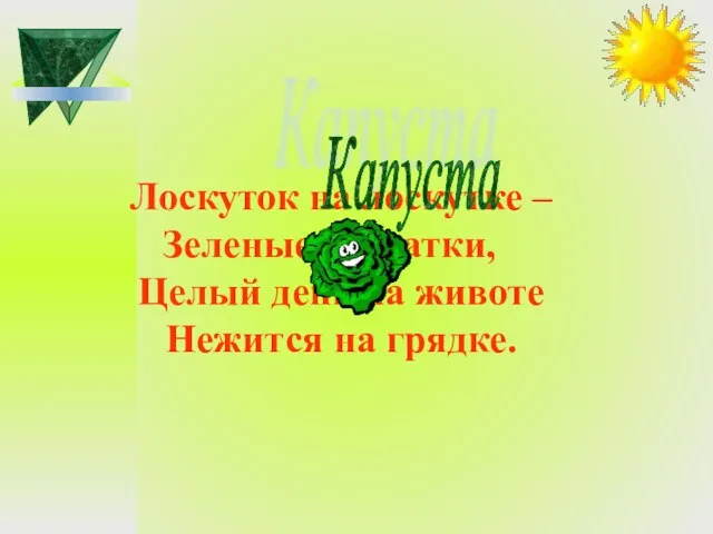 Лоскуток на лоскутке – Зеленые заплатки, Целый день на животе Нежится на грядке. Капуста