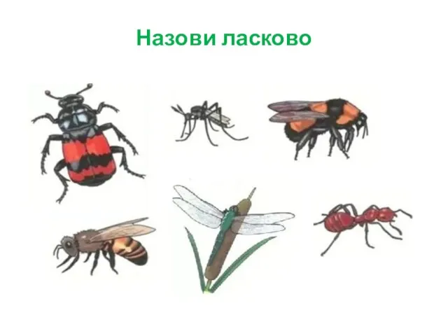 Назови ласково