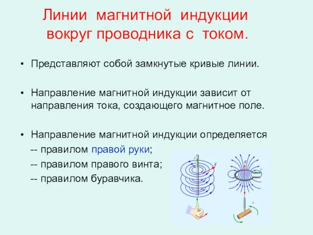 Линии магнитной индукции вокруг проводника с током. Представляют собой замкнутые