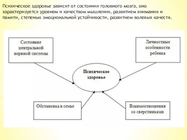 Психическое здоровье зависит от состояния головного мозга, оно характеризуется уровнем