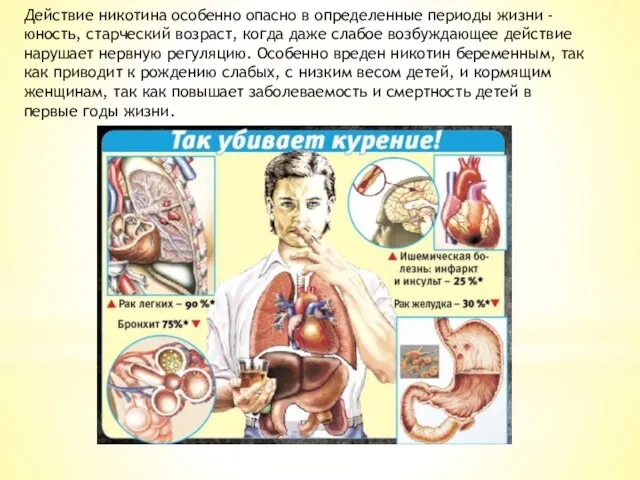 Действие никотина особенно опасно в определенные периоды жизни - юность,