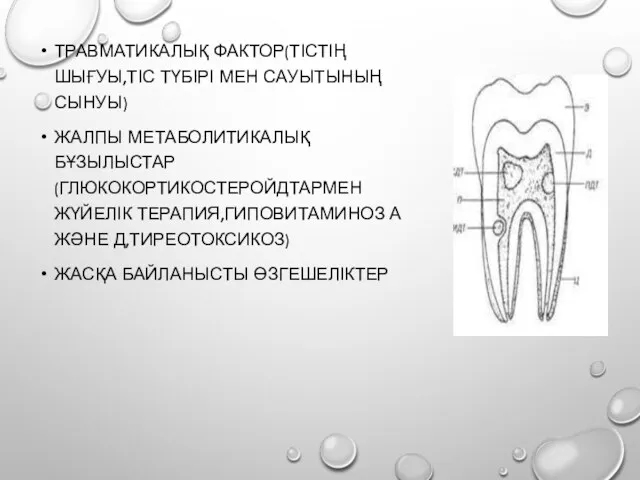 ТРАВМАТИКАЛЫҚ ФАКТОР(ТІСТІҢ ШЫҒУЫ,ТІС ТҮБІРІ МЕН САУЫТЫНЫҢ СЫНУЫ) ЖАЛПЫ МЕТАБОЛИТИКАЛЫҚ БҰЗЫЛЫСТАР(ГЛЮКОКОРТИКОСТЕРОЙДТАРМЕН ЖҮЙЕЛІК ТЕРАПИЯ,ГИПОВИТАМИНОЗ А