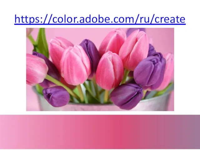 https://color.adobe.com/ru/create