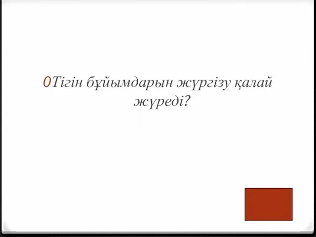 Тігін бұйымдарын жүргізу қалай жүреді?