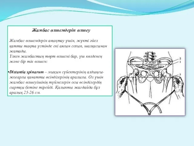 Жамбас өлшемдерін өлшеу Жамбас өлшемдерін анықтау үшін, жүкті әйел қатты