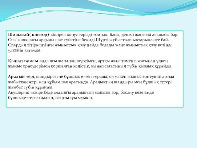 Шошақай( клитор)-кішірек конус тәрізді томпақ. Басы, денесі және екі аяқшасы