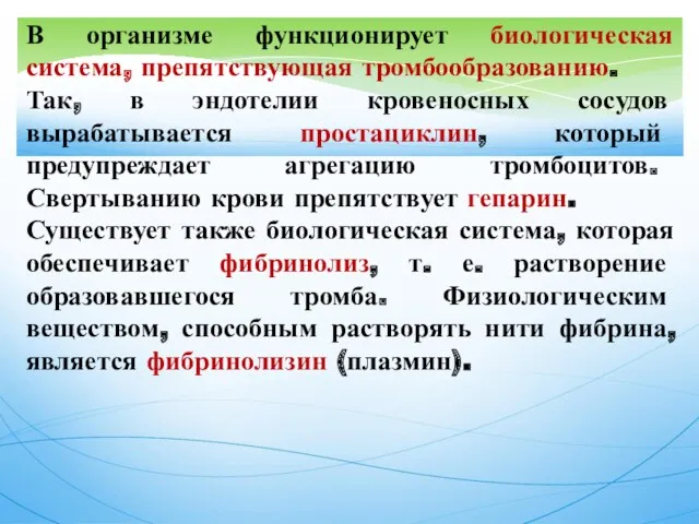 В организме функционирует биологическая система, препятствующая тромбообразованию. Так, в эндотелии