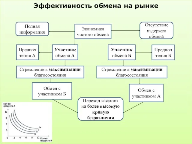 Эффективность обмена на рынке Экономика чистого обмена Участник обмена А