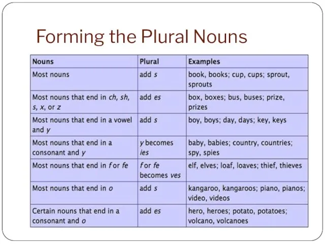 Forming the Plural Nouns