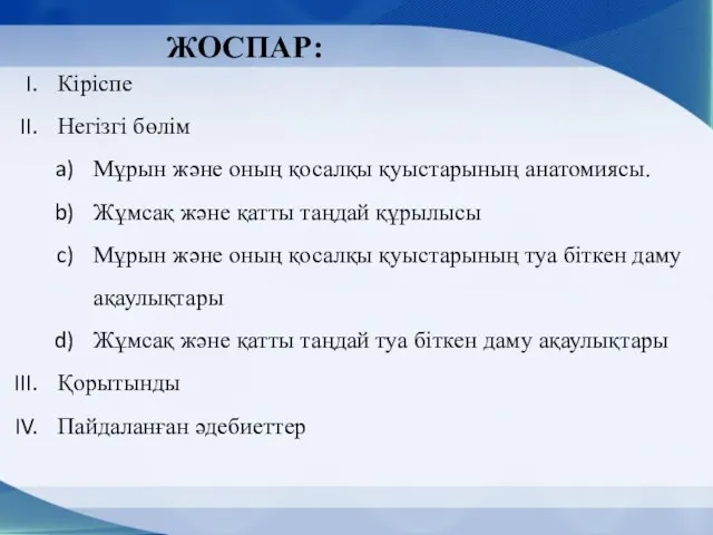 ЖОСПАР: Кіріспе Негізгі бөлім Мұрын және оның қосалқы қуыстарының анатомиясы.