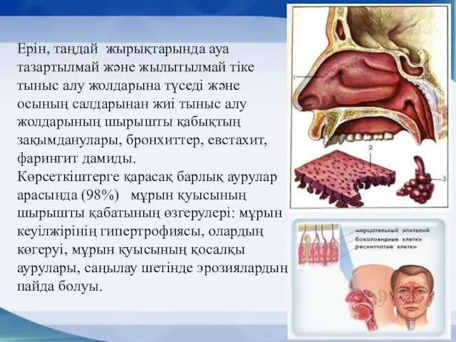 Ерін, таңдай жырықтарында ауа тазартылмай және жылытылмай тіке тыныс алу