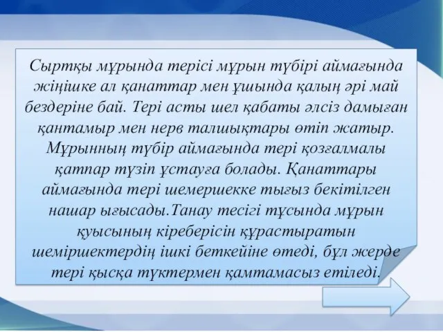 Сыртқы мұрында терісі мұрын түбірі аймағында жіңішке ал қанаттар мен