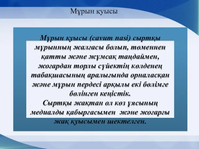 Мұрын қуысы (cavum nasi) сыртқы мұрынның жалғасы болып, төменнен қатты