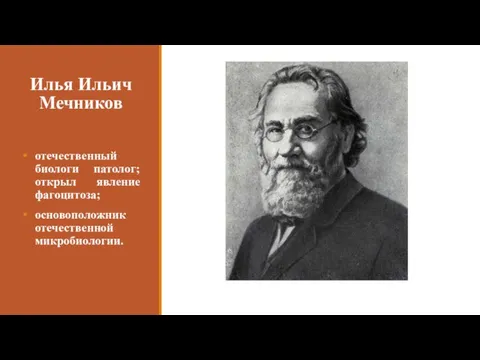 Илья Ильич Мечников отечественный биологи патолог; открыл явление фагоцитоза; основоположник отечественной микробиологии.