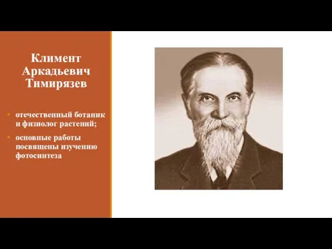 Климент Аркадьевич Тимирязев отечественный ботаник и физиолог растений; основные работы посвящены изучению фотосинтеза