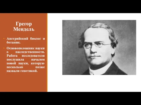 Грегор Мендель Австрийский биолог и ботаник. Основоположник науки о наследственности.