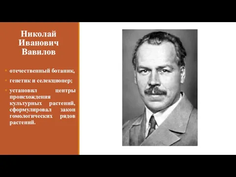 Николай Иванович Вавилов отечественный ботаник, генетик и селекционер; установил центры